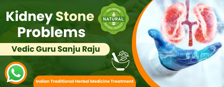 Get Ayurvedic Treatment For Kidney Stone in Paris France